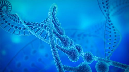 生葆生物首輪融資成功，加速溶瘤細(xì)菌管線臨床試驗(yàn)進(jìn)程